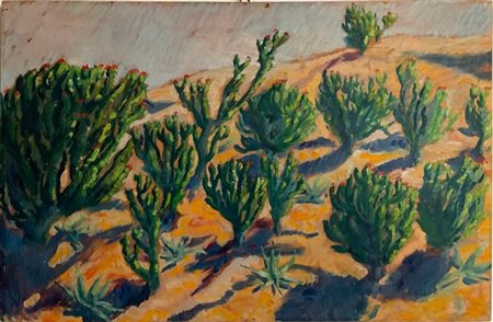 Mario Menin (Attr.) "Flora del deserto" 
olio su compensato
cm 46x71
opera non f