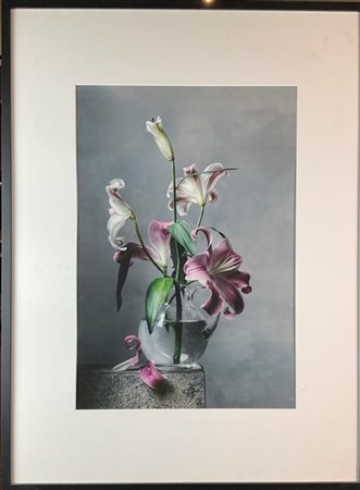 Christopher Broadbent "Flowers VIII A" 2012
fotografia a colori, ed. 2/4
cm 54,5