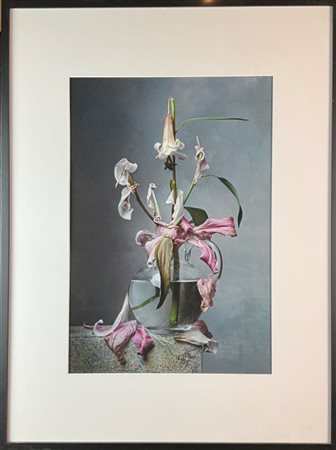 Christopher Broadbent "Flowers VIII B" 2012
fotografia a colori, ed. 2/4
cm 54,5