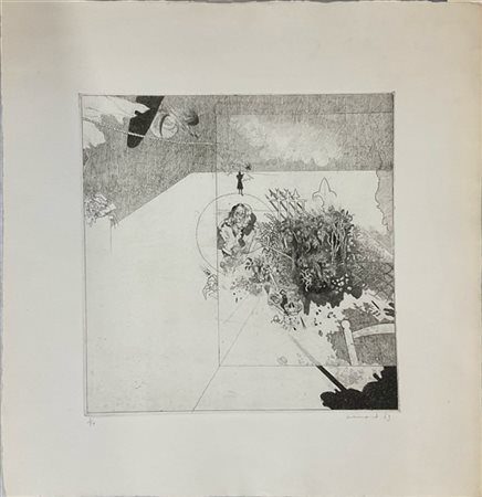 Gianfranco Ferroni "Giardino di Tradate" 1963
acquaforte
(lastra cm 32,5x31,5; f