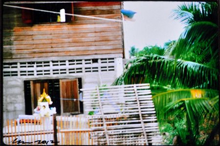 LEE JAFFE Thailand, 1983/2012 Fotografia a colori applicata su tavola cm....
