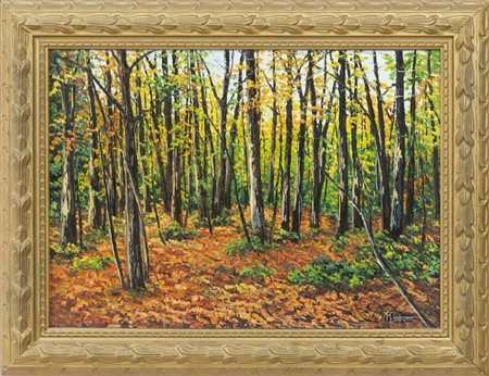 Michele Carpignano, Foresta umbra, anni Duemila, olio su tela, cm 50x70,...