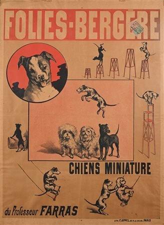 Anonimo del XIX secolo Folies Bergere - Chiens Miniature du Professeur Farras...