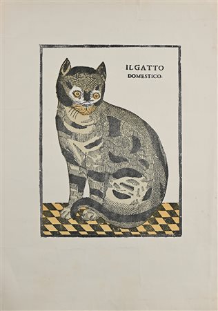 Il Gatto domestico litografia di Ramondini cm 56x42