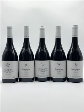  
Domaine Christian Gros, Bourgogne Pinot Noir 2020
Francia - Bourgogne 0,75