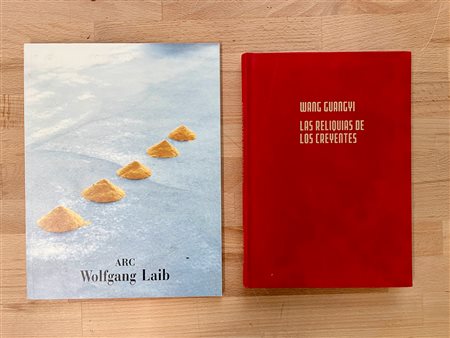 WANG GUAGYI E WOLFGANG LAIB - Lotto unico di 2 cataloghi