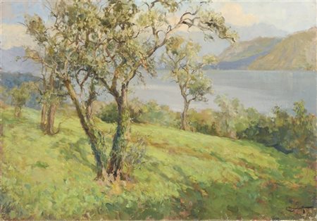 Ernesto Rigamonti "Vecchio ulivo, Lenno (Lago di Como)" 
olio su tela (cm 70x100