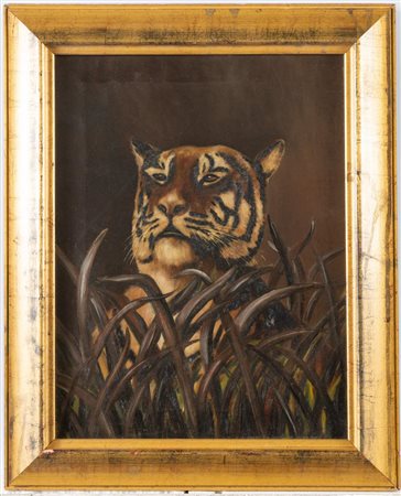 Pittore inglese tra XIX e XX secolo. Tigre. 