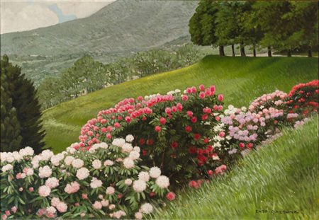 ENZO GAZZONE<BR>Vercelli 1894 - 1970<BR>"Rododendri alla burcina" Biella