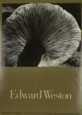 EDWARD WESTON manifesto, 61x46cm Realizzato da Aperture Inc., New York per...