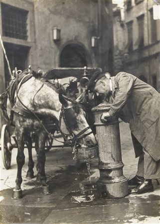 FOTOGRAFIA L'ABBEVERATA DI RENZO TORTELLI, 1955