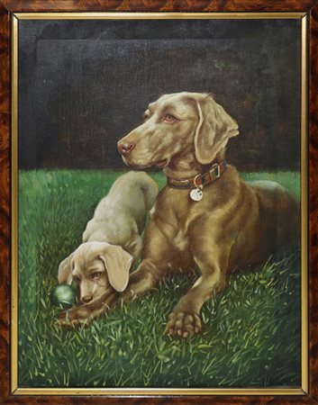 Coppia di cani, 20th secolo painter