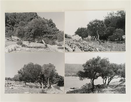 GHARIB ABBAS (n. 1942) - TREES, 2016.