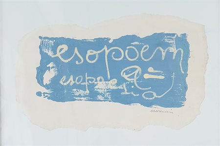 Lucia Marcucci, 'Esopoem'