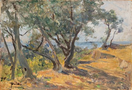 Paolo Sala (Milano 1859-1924)  - Sanremo