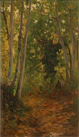 Lorenzo Cecconi (Roma 1863-1947)  - Sentiero nel bosco a Rocca di Papa