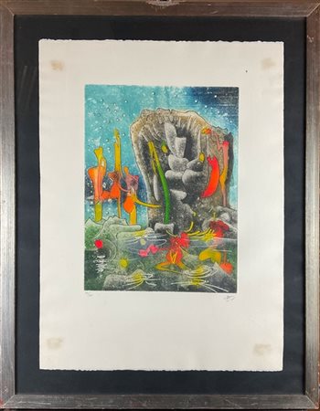 Roberto Matta "Ninphée" 1981
acquaforte e acquatinta a colori
(lastra cm 41,5x31