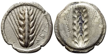 Lucania, Metapontion (c. 510-470 BC), Nomos; AR (7,90 g; 24,2 mm)