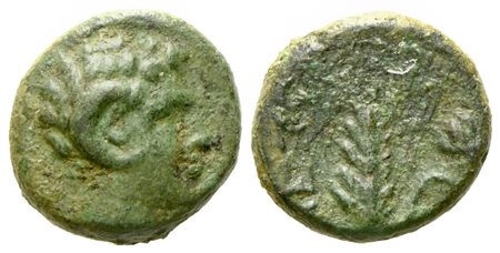 Lucania, Metapontion (c. 300-250 BC), Æ (1,40 g; 10,2 mm)