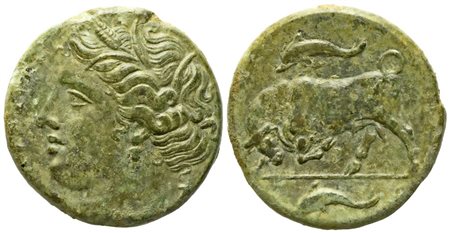 Sicily, Syracuse, Agathokles (317-289 BC), Æ (6,20 g; 19 mm)