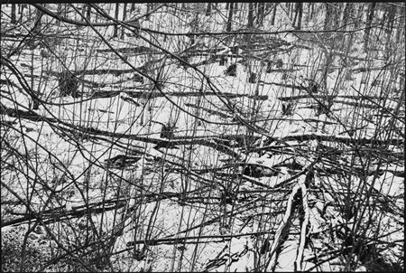 Henri Cartier-Bresson (1908-2004)  - Near Chambord, 1952