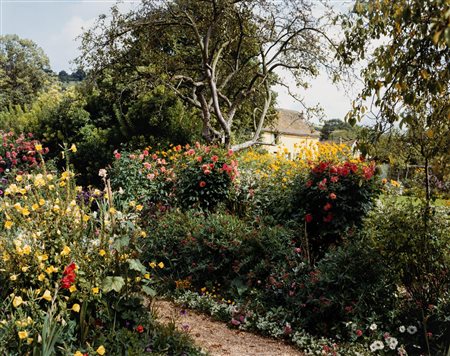 Stephen Shore (1947)  - Giverny #16, 2002