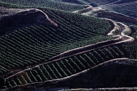 Franco Fontana (1933)  - Paesaggio, 1997