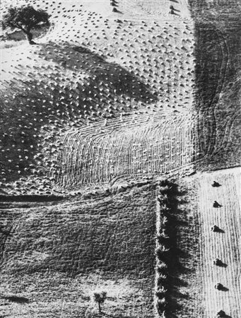 Mario Giacomelli (1925-2000)  - Presa di coscienza sulla natura, 1975/1985