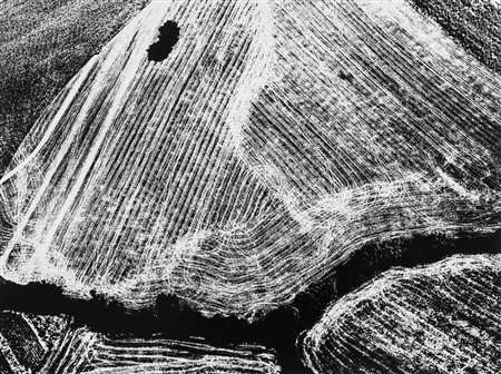 Mario Giacomelli (1925-2000)  - Presa di coscienza sulla natura, 1978