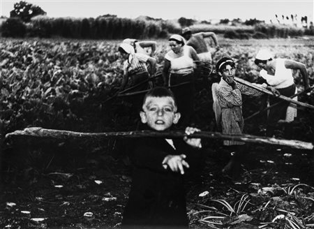 Mario Giacomelli (1925-2000)  - La buona terra, 1964/1966