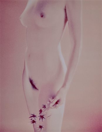 Toni Meneguzzo (1949)  - Nude, 2018