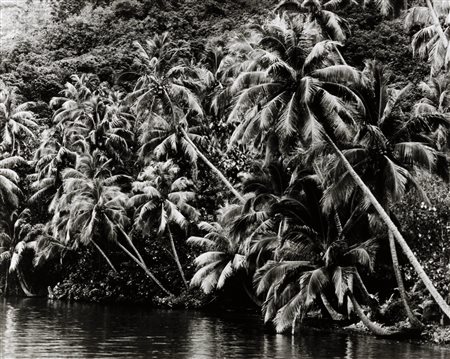 Gian Paolo Barbieri (1938)  - Moorea, 1997