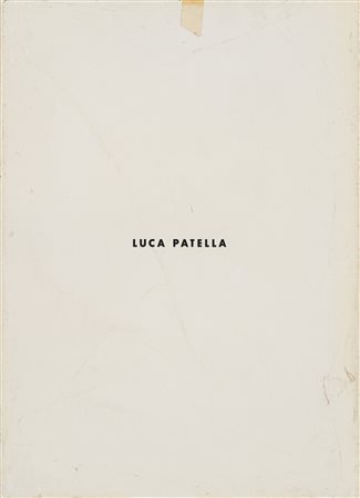 LUCA MARIA PATELLA, Terre comportamenti & concetti