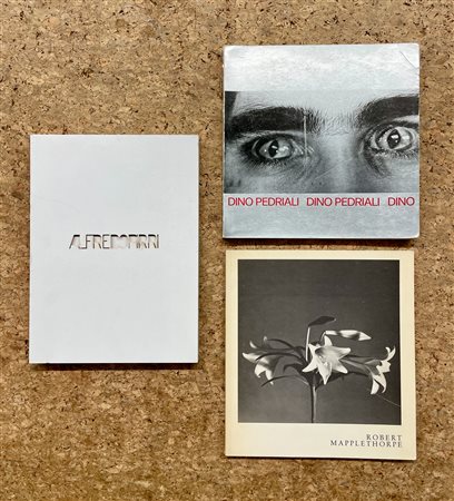 FOTOGRAFIA CONTEMPORANEA (ALFREDO PIRRI, DINO PEDRIALI E ROBERT MAPPLETHORPE - Lotto unico di 3 cataloghi