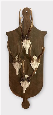 A set of (4) deer antlers mounted on an oak plank. Ca. 1930.