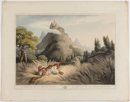 Henri Merke (1799 - 1820 fl.) A Tiger killed by a poisoned arrow 1806 dalla...