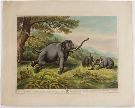 Henri Merke (1799 - 1820 fl.) Decoy Elephants leaving the Male fastened to a...