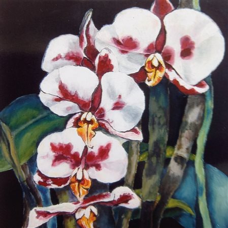 Jette Christiansen (Kopenhagen 1943) Phalenopsis;Pittura ad olio, circa 30 x...