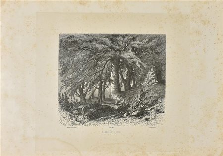 Barberis FORESTA DI FAGGI litografia su carta, cm 31x42 L'opera presenta...