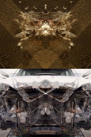 MAURO CUPPONE (Mantova 1960), Rorschach (Crash) Test #2ac, 2013