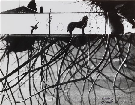 Mario Giacomelli (Senigallia (An), 1925 - 2000) Senza titolo Stampa alla...