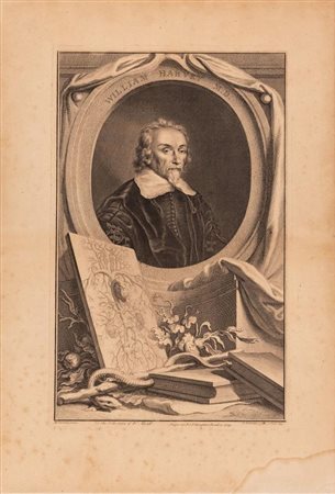 Ritratto originale in incisione su rame del medico inglese William Harvey   Anonimo