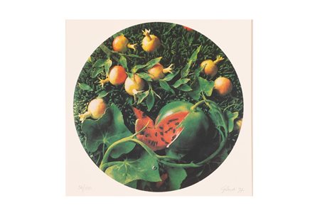 Piero Gilardi (Torino, 1942 - ) 
Natura morta con cocomero e  melograni 1997
Serigrafia a 5 colori cm 70x70