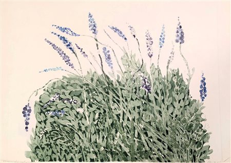  
Lavanda 
litografia cm 50x69,5