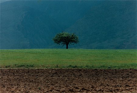 ABBAS KIAROSTAMI