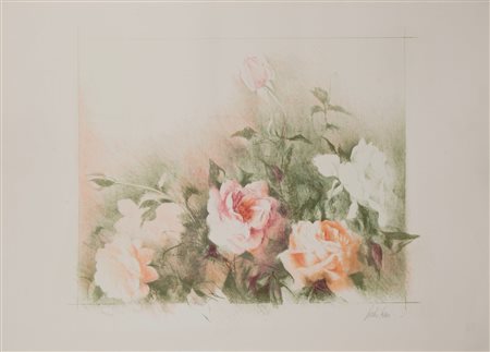 Pedro Cano (Blanca 1944)  - Rose