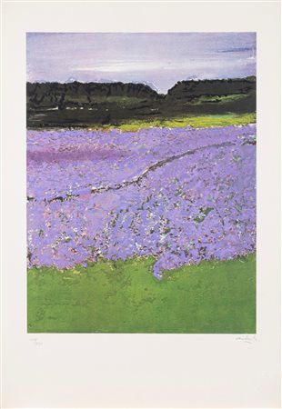 Carlo Mattioli (Modena 1911-Parma 1994)  - Campo di lavanda