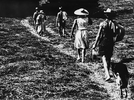 Mario Giacomelli (1925-2000)  - La buona terra, 1964/1966