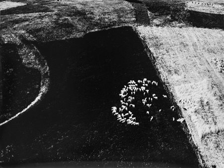 Mario Giacomelli (1925-2000)  - Metamorfosi della terra, 1960/1980