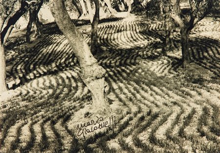 Mario Giacomelli (1925-2000)  - Paesaggio, 1980s/1990s